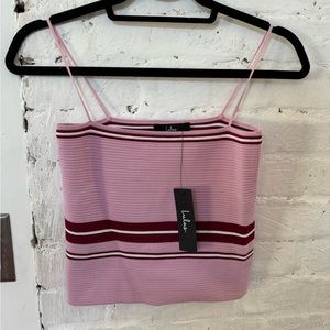 Lenore Mauve Pink Striped Ribbed Crop Top